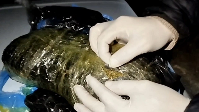 Bakıda geniş narkotik əməliyyatı: 21 kq marixuana və 600 metadon ələ keçirildi