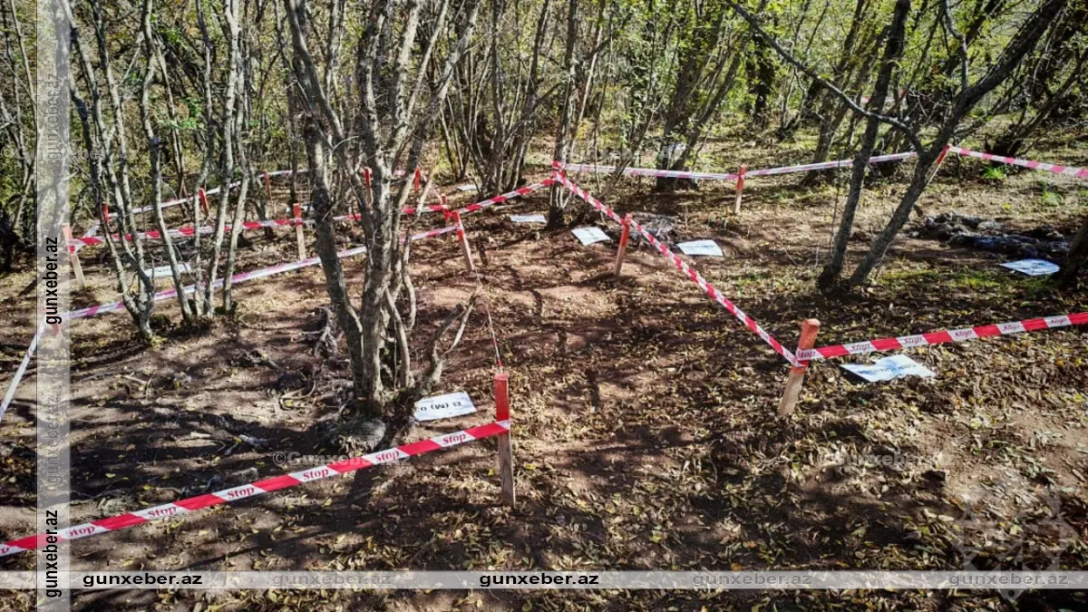 Ağdərədə aşkarlanan kütləvi məzarlığın GÖRÜNTÜLƏRİ