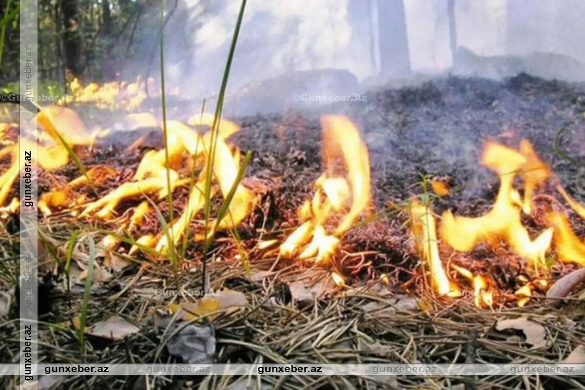 Kəlbəcərdə açıq ərazidə YANĞIN