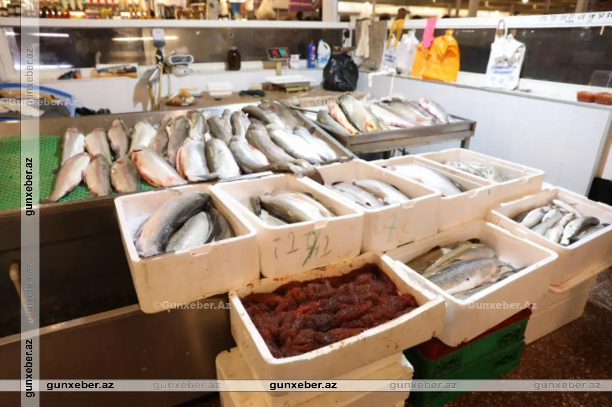 “Nəzrin-E” MMC-də aparılan yoxlama zamanı ciddi nöqsanlar aşkarlanıb